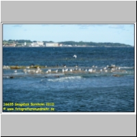 16635 Snogebak Bornholm 2010.JPG